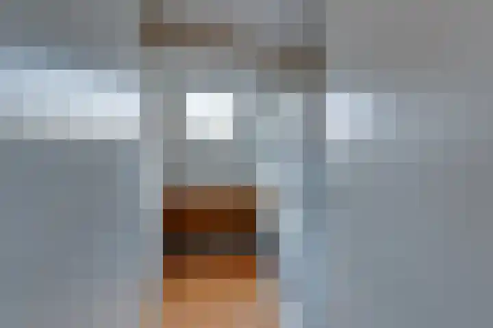 Alkemaderschans 11 Nieuwegein thumbnail 32