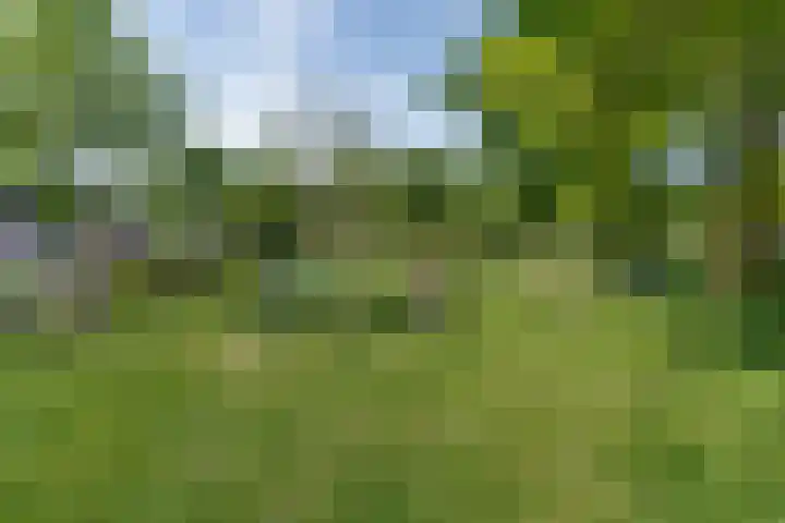 Alkemaderschans 11 Nieuwegein thumbnail 37