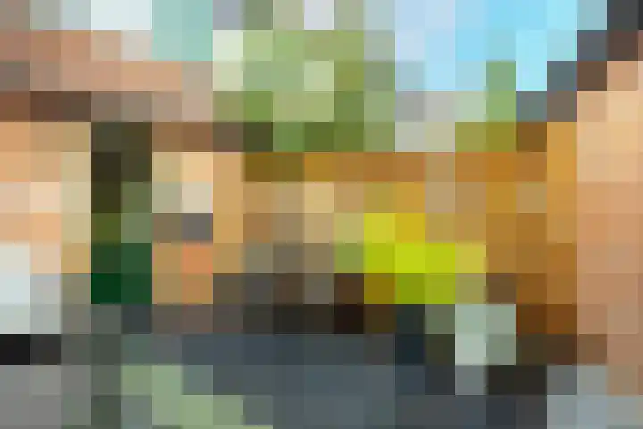 Alkemaderschans 16 Nieuwegein thumbnail 18