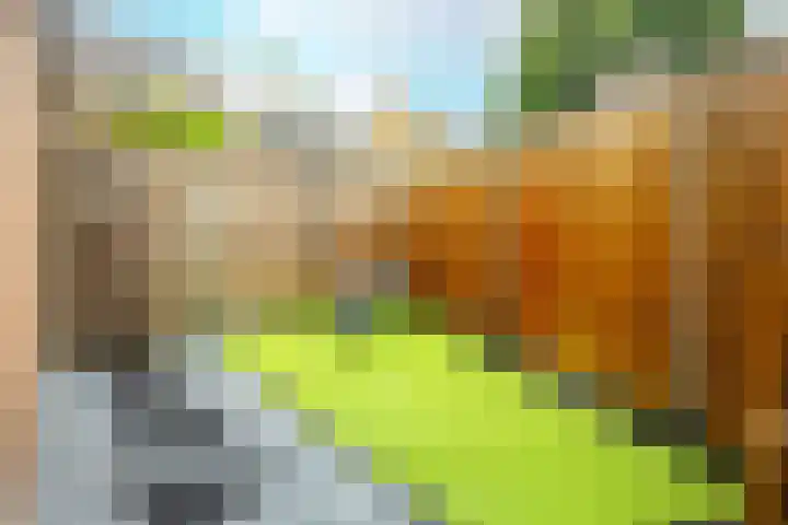Alkemaderschans 16 Nieuwegein thumbnail 20