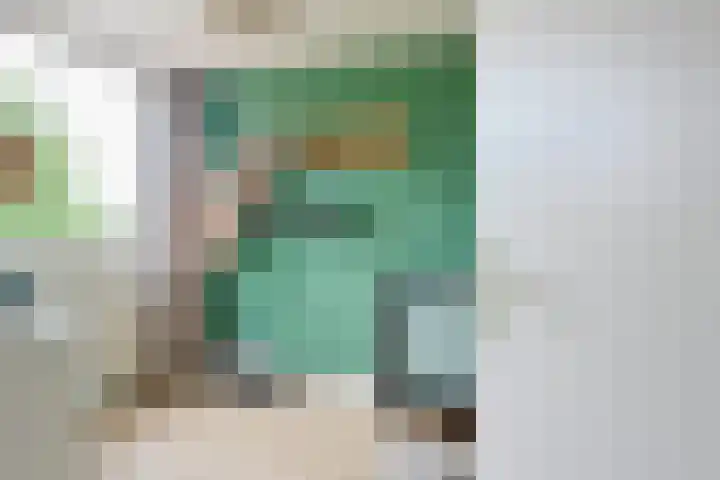 Alkemaderschans 16 Nieuwegein thumbnail 25