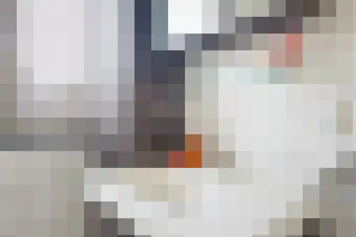 Alkemaderschans 16 Nieuwegein thumbnail 29