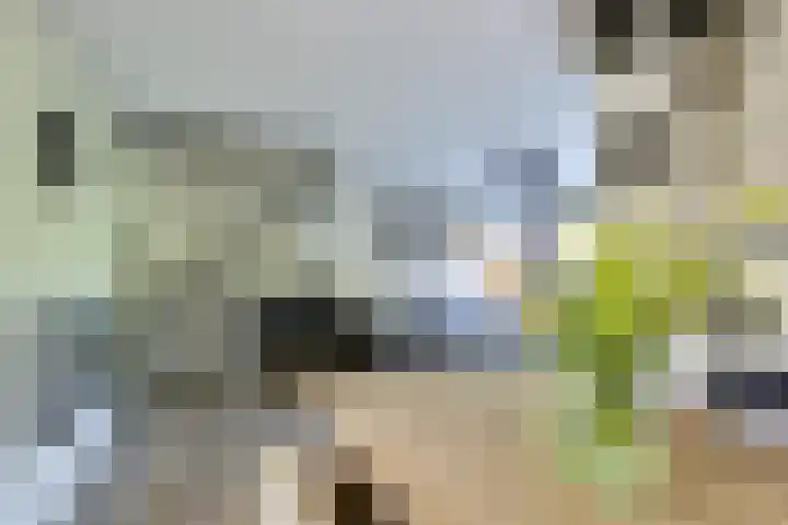 Alkemaderschans 6 Nieuwegein thumbnail 13