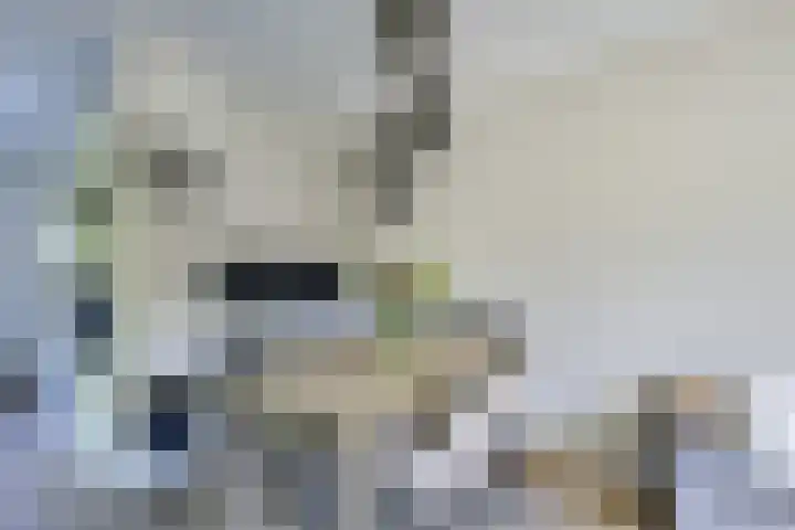 Alkemaderschans 6 Nieuwegein thumbnail 16