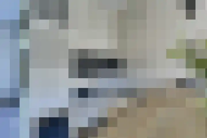 Alkemaderschans 6 Nieuwegein thumbnail 17