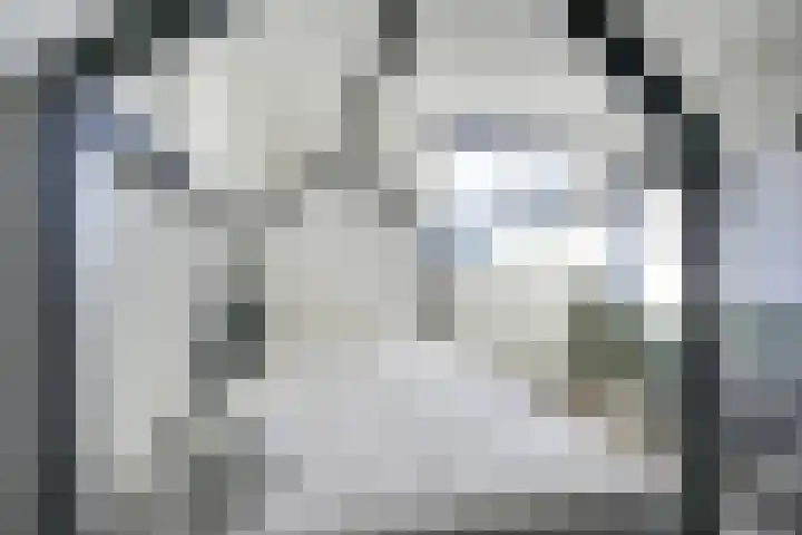 Alkemaderschans 6 Nieuwegein thumbnail 36