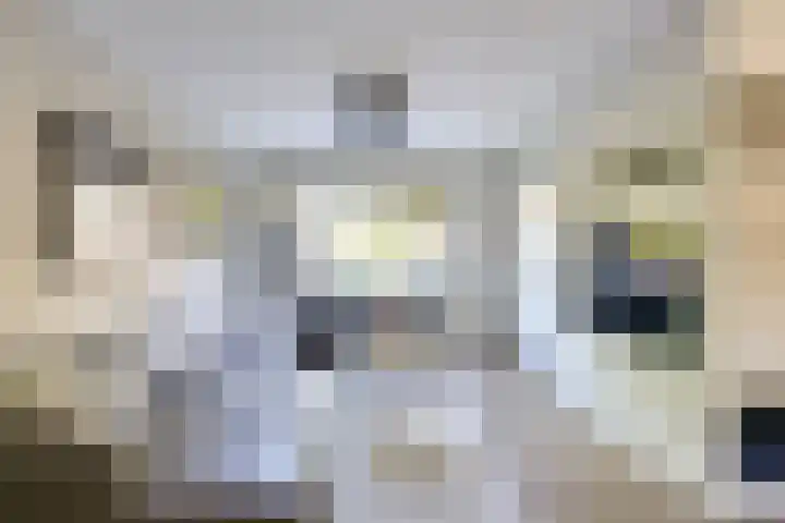 Alkemaderschans 6 Nieuwegein thumbnail 4