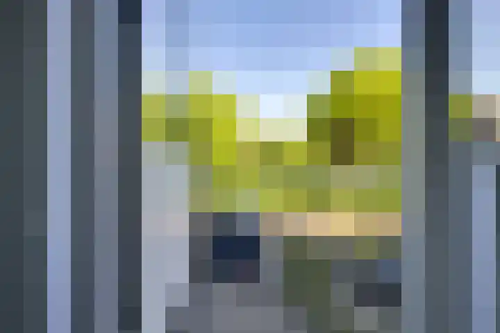 Alkemaderschans 6 Nieuwegein thumbnail 42