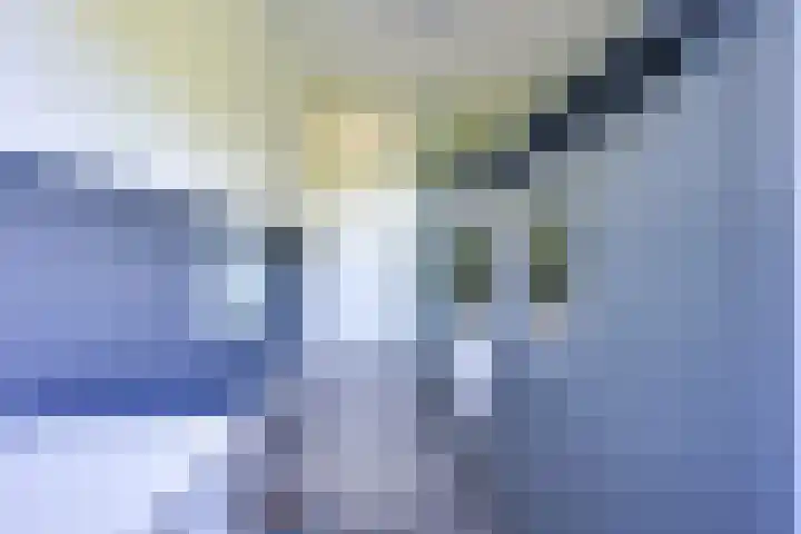 Alkemaderschans 6 Nieuwegein thumbnail 44