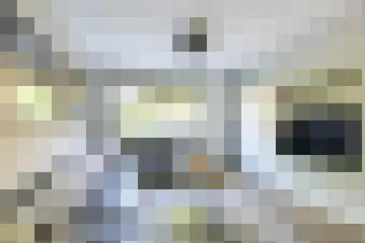 Alkemaderschans 6 Nieuwegein thumbnail 5