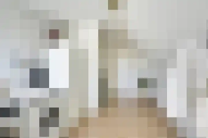 Alkemaderschans 6 Nieuwegein thumbnail 55