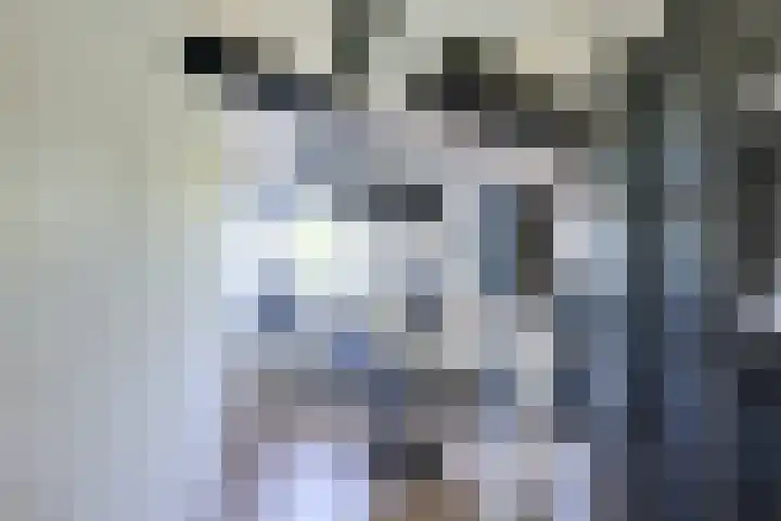 Alkemaderschans 6 Nieuwegein thumbnail 56