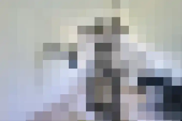 Alkemaderschans 6 Nieuwegein thumbnail 57