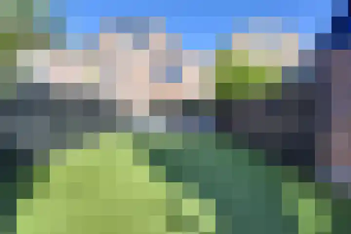 Alkemaderschans 6 Nieuwegein thumbnail 67