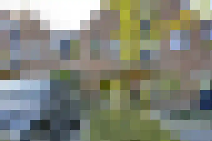Alkemaderschans 6 Nieuwegein thumbnail 71