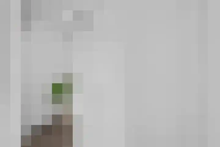 Alkenberg 1 Roosendaal thumbnail 21