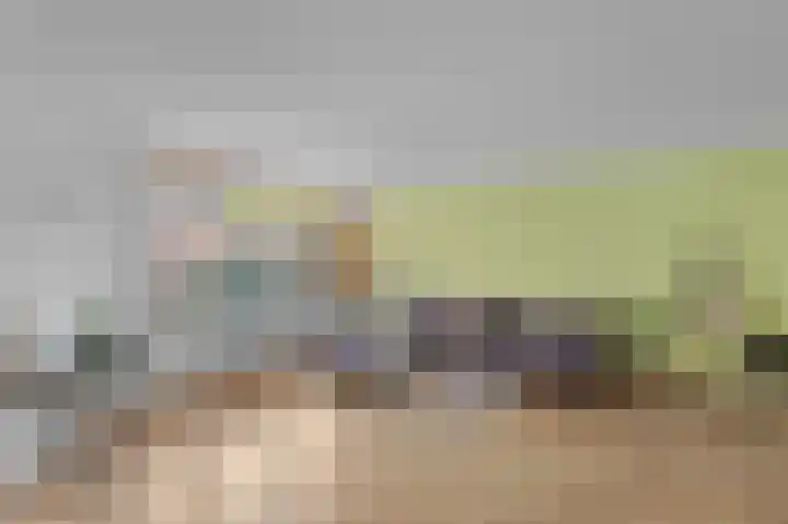 Alkenberg 1 Roosendaal thumbnail 6