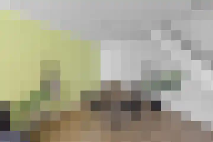 Alkenberg 1 Roosendaal thumbnail 7