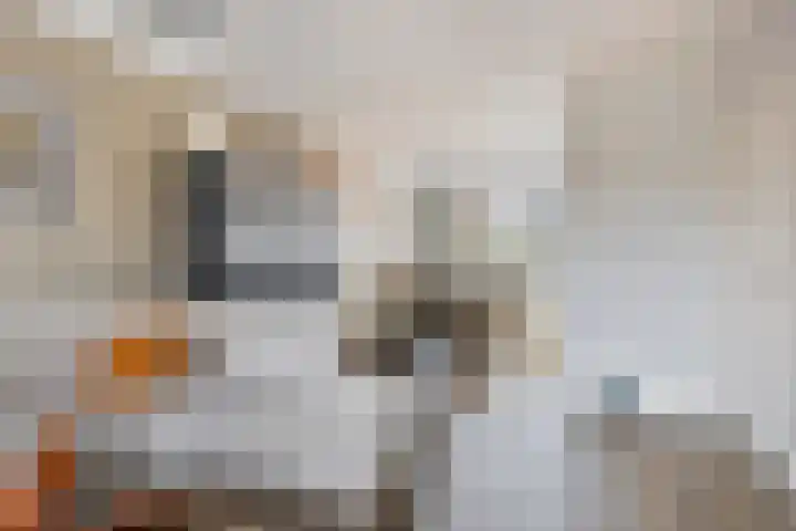 Alkenberg 23 Roosendaal thumbnail 8