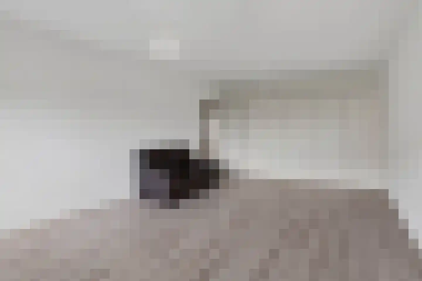 Alkenoord 126 Capelle aan den IJssel thumbnail 14