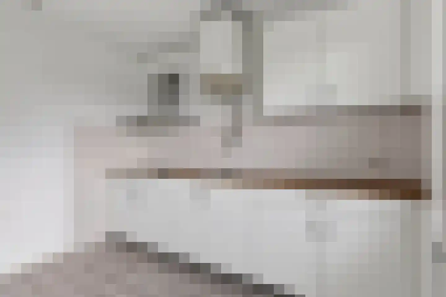 Alkenoord 126 Capelle aan den IJssel thumbnail 18