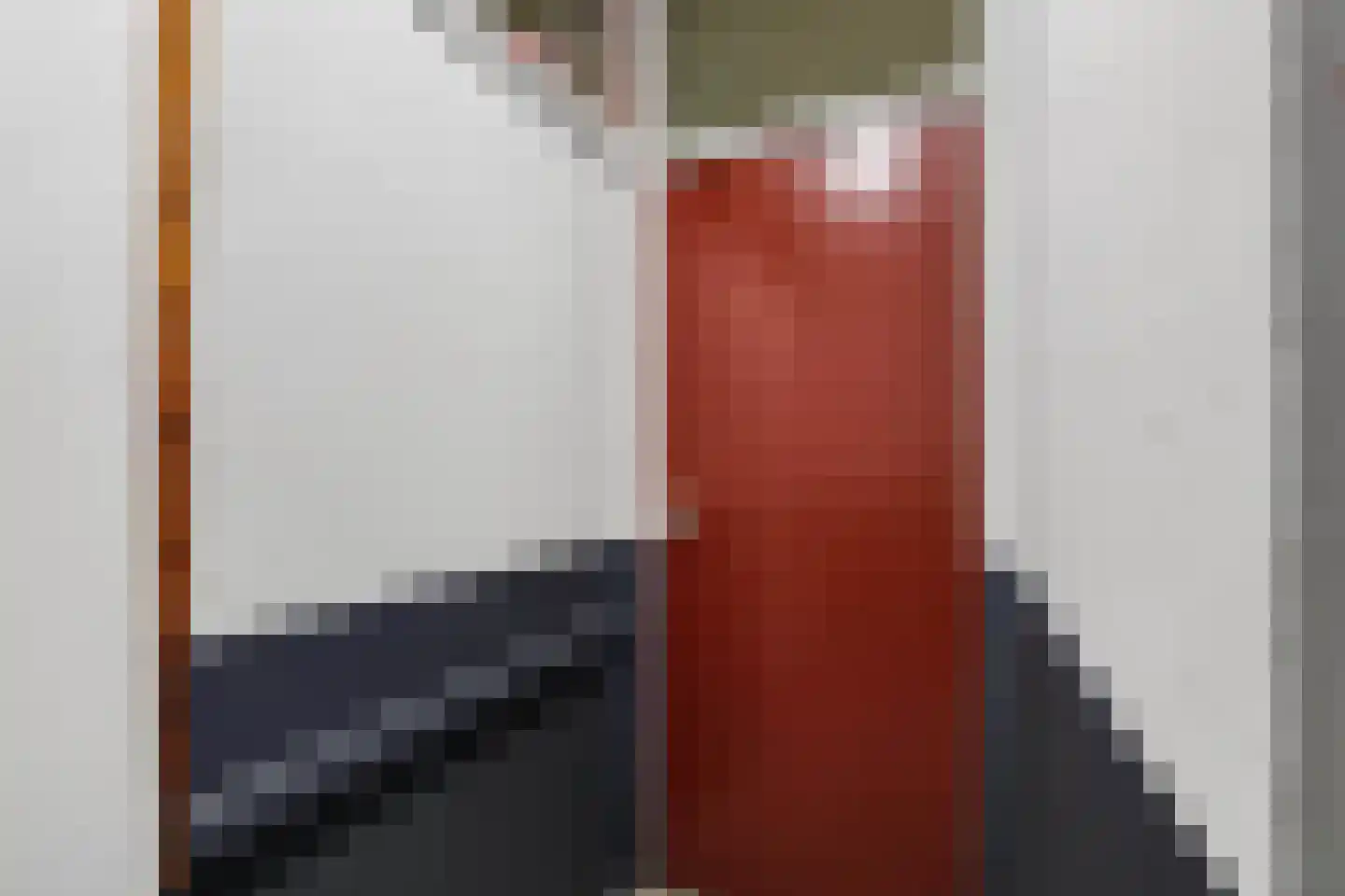 Alkenoord 126 Capelle aan den IJssel thumbnail 30