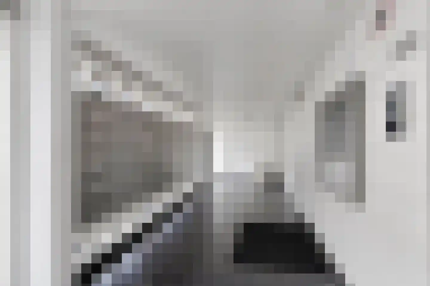 Alkenoord 126 Capelle aan den IJssel thumbnail 8