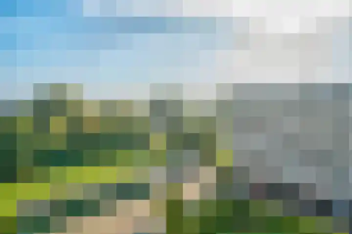 Alkenoord 143 Capelle aan den IJssel thumbnail 11