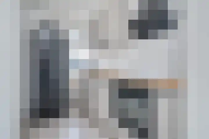 Alkenoord 143 Capelle aan den IJssel thumbnail 4