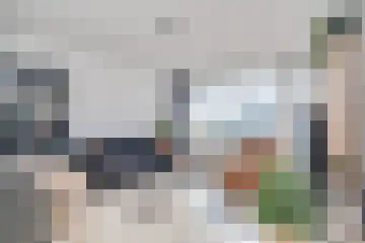 Alkenoord 143 Capelle aan den IJssel thumbnail 5