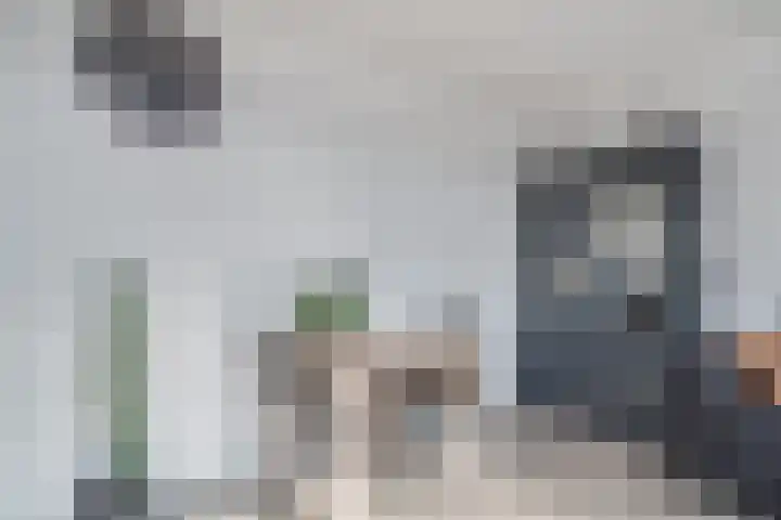 Alkenoord 143 Capelle aan den IJssel thumbnail 8