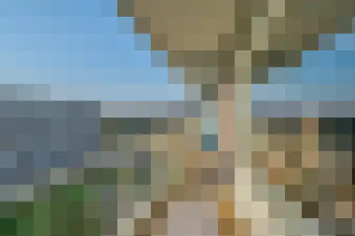 Alkenoord 143 Capelle aan den IJssel thumbnail 9