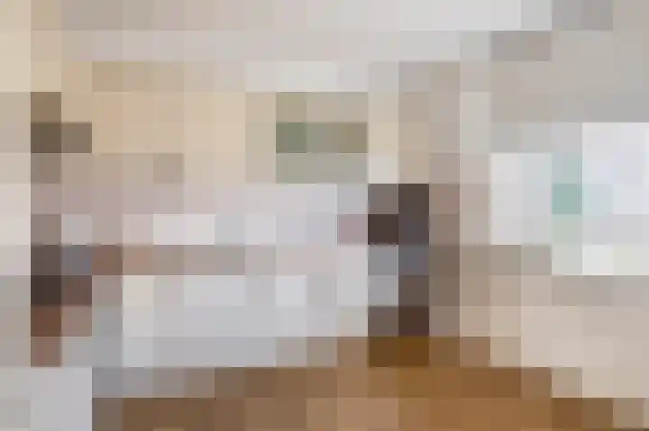 Alkenoord 244 Capelle aan den IJssel thumbnail 12