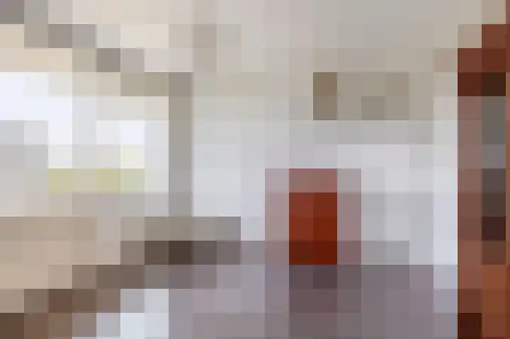 Alkenoord 244 Capelle aan den IJssel thumbnail 16