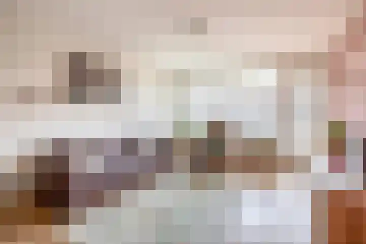 Alkenoord 244 Capelle aan den IJssel thumbnail 21