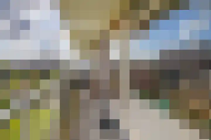 Alkenoord 244 Capelle aan den IJssel thumbnail 23