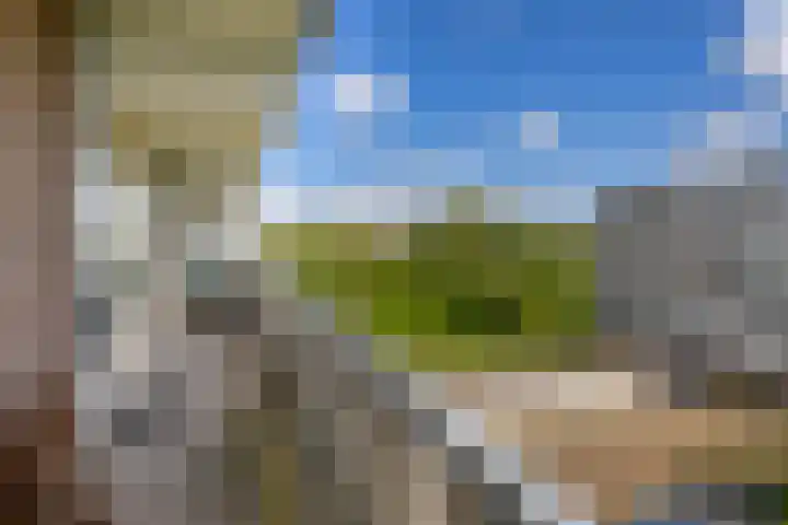 Alkenoord 244 Capelle aan den IJssel thumbnail 24