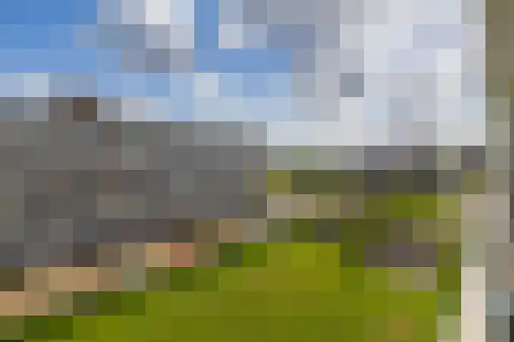 Alkenoord 244 Capelle aan den IJssel thumbnail 25