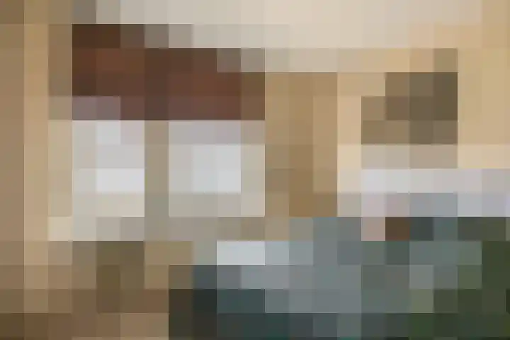 Alkenoord 244 Capelle aan den IJssel thumbnail 32