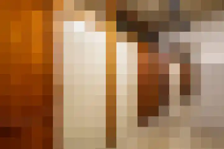 Alkenoord 244 Capelle aan den IJssel thumbnail 33