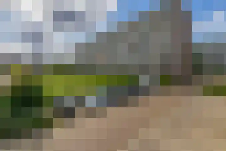 Alkenoord 244 Capelle aan den IJssel thumbnail 35