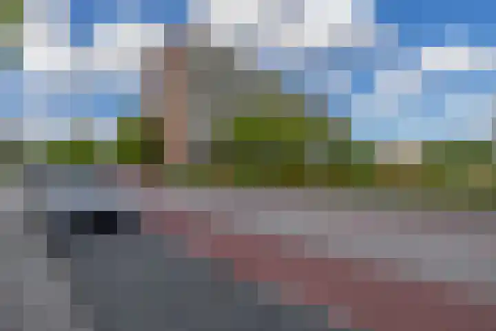 Alkenoord 244 Capelle aan den IJssel thumbnail 36