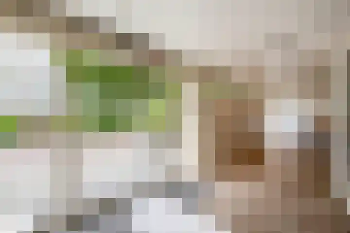Alkenoord 244 Capelle aan den IJssel thumbnail 6
