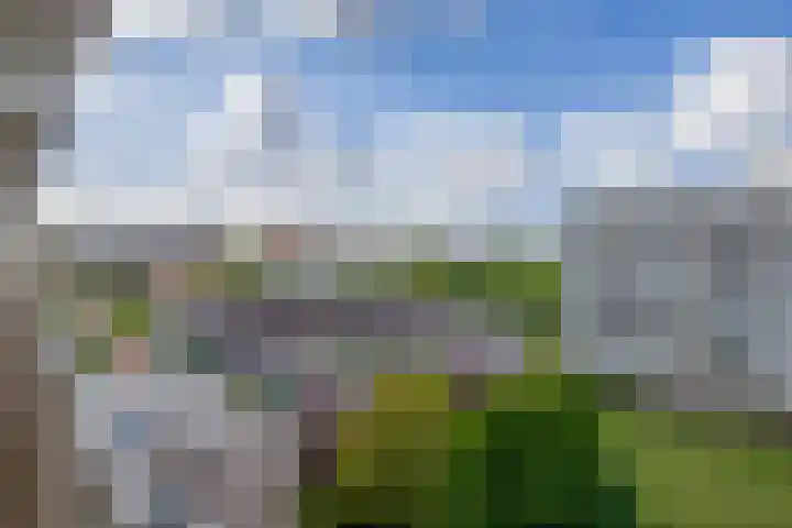 Alkenoord 244 Capelle aan den IJssel thumbnail 8