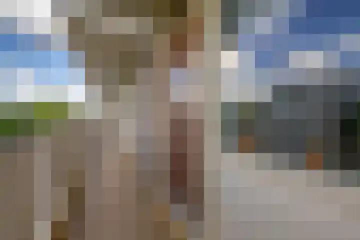 Alkenoord 244 Capelle aan den IJssel thumbnail 9