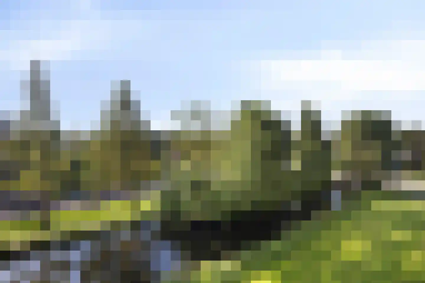 Alkenoord 25 Capelle aan den IJssel thumbnail 8