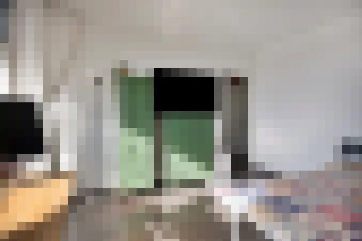 Alkenoord 25 Capelle aan den IJssel thumbnail 9