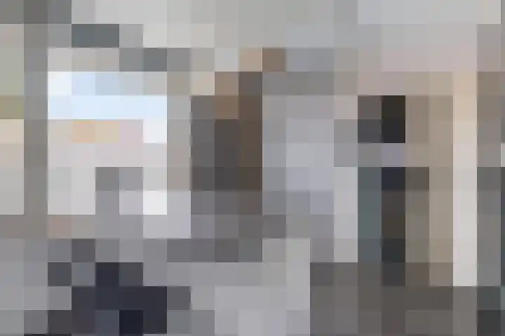 Alkenoord 271 Capelle aan den IJssel thumbnail 13