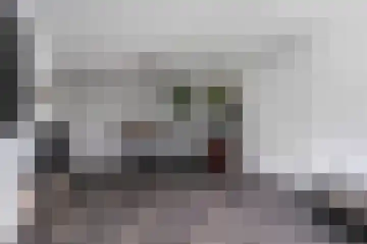 Alkenoord 271 Capelle aan den IJssel thumbnail 15