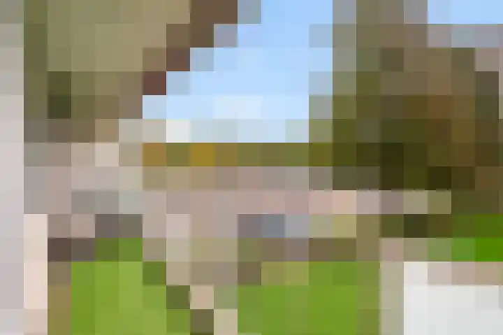 Alkenoord 271 Capelle aan den IJssel thumbnail 17